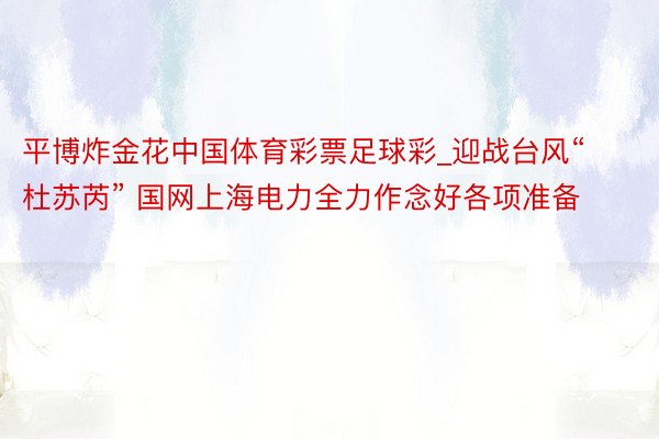 平博炸金花中国体育彩票足球彩_迎战台风“杜苏芮” 国网上海电力全力作念好各项准备