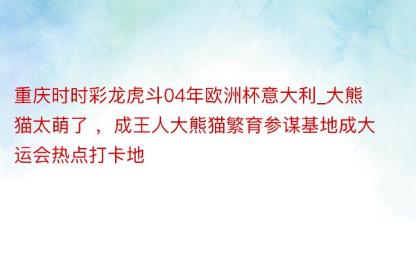 重庆时时彩龙虎斗04年欧洲杯意大利_大熊猫太萌了 ，成王人大熊猫繁育参谋基地成大运会热点打卡地