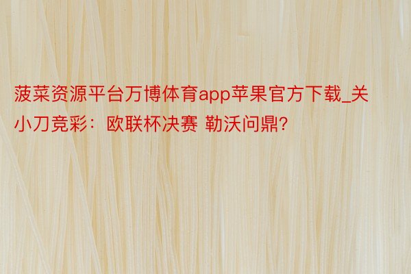 菠菜资源平台万博体育app苹果官方下载_关小刀竞彩：欧联杯决赛 勒沃问鼎？